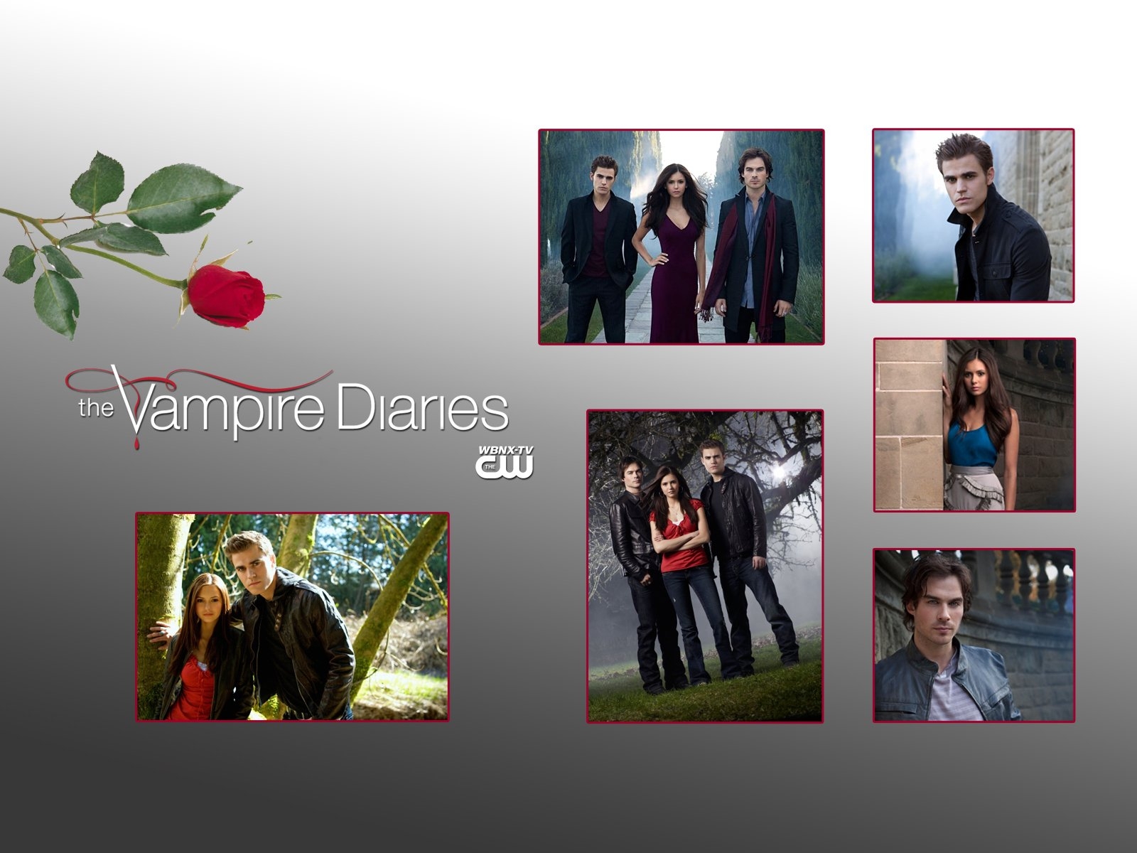 Dnevniki-Vampira-Vampire-Diaries----1257292--w--1600 -  