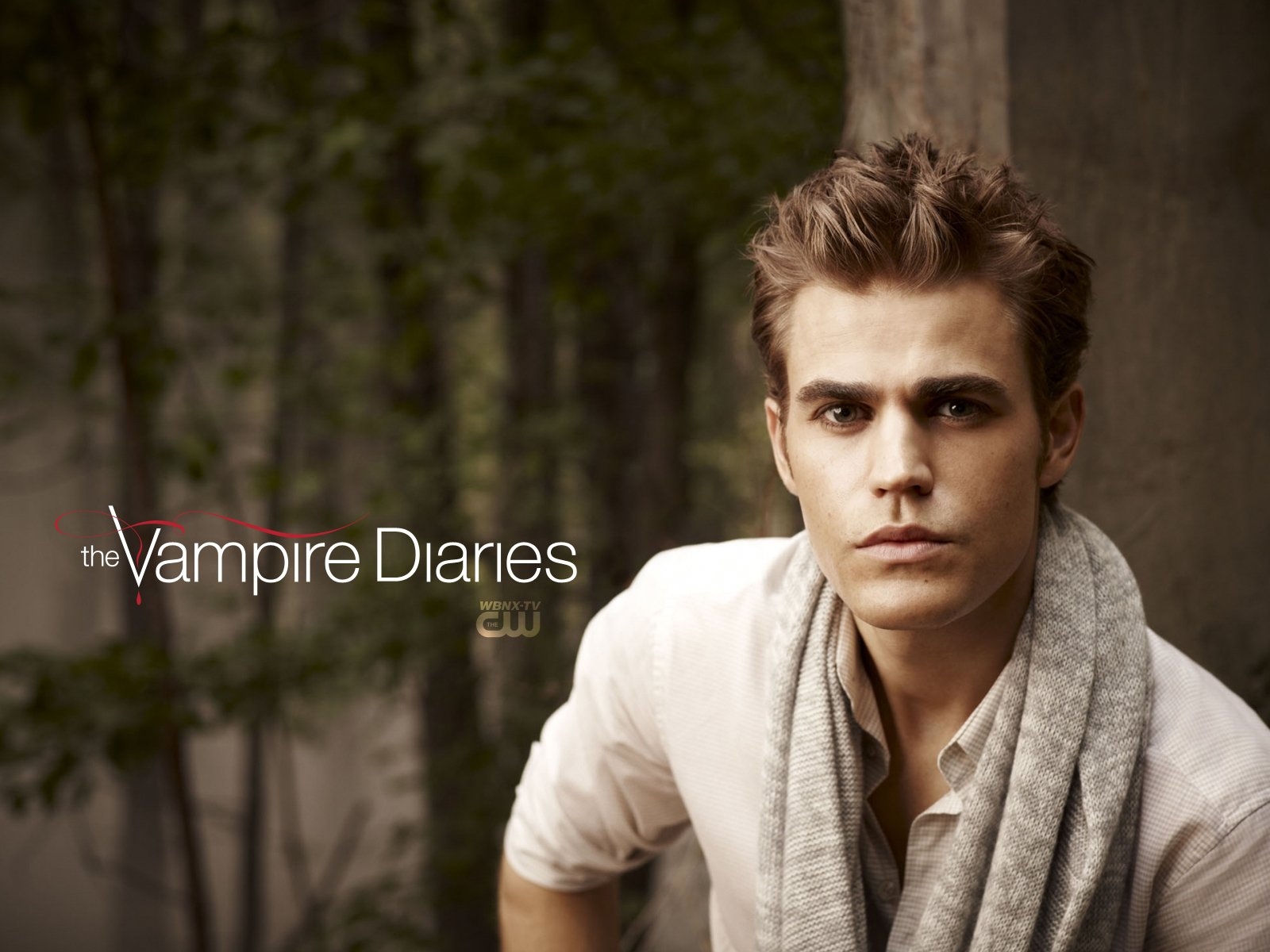 Dnevniki-Vampira-Vampire-Diaries----1369606--w--1600 -  